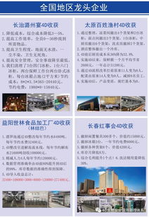 重塑餐饮体验 史上最强4D厨房体系如何革新现代酒店管理